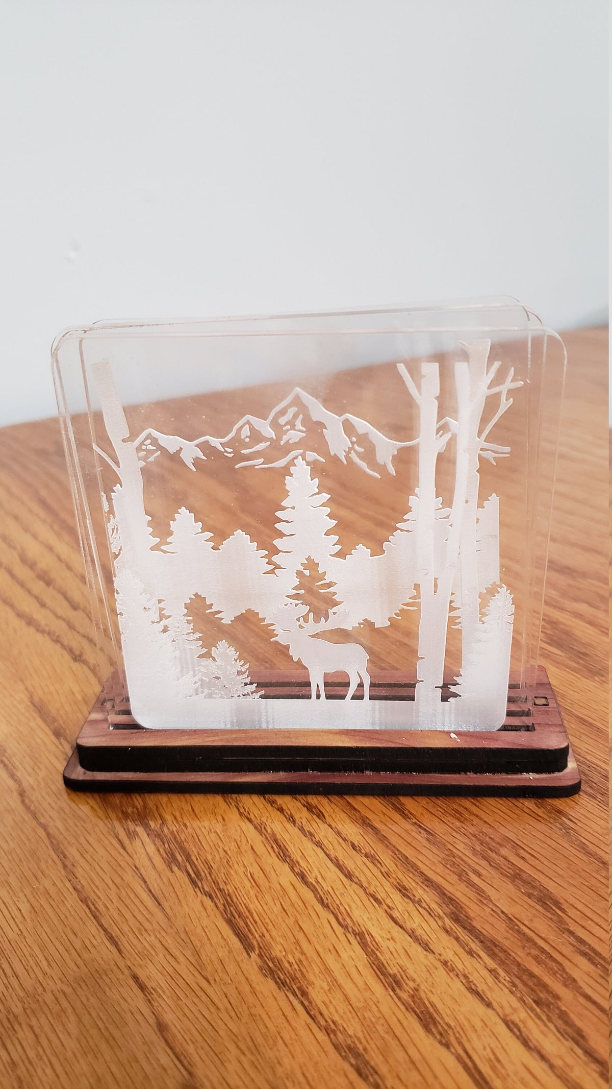 Shadowbox Mountain Scene Coaster Set