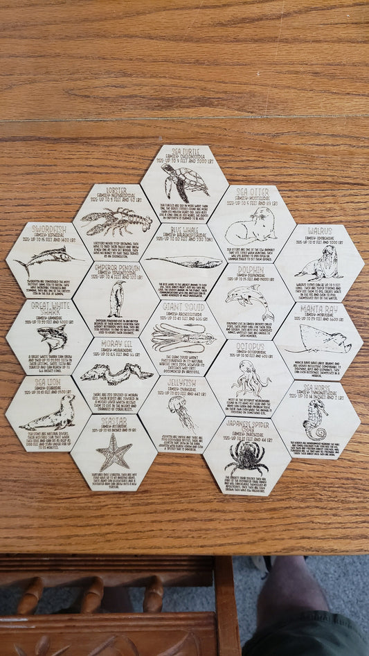 Set of 18 Sea Creature Tokens