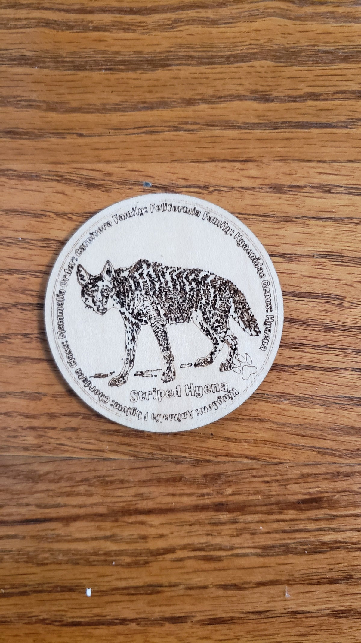 Educational K9 Dog Breed Token Set - Set of 12
