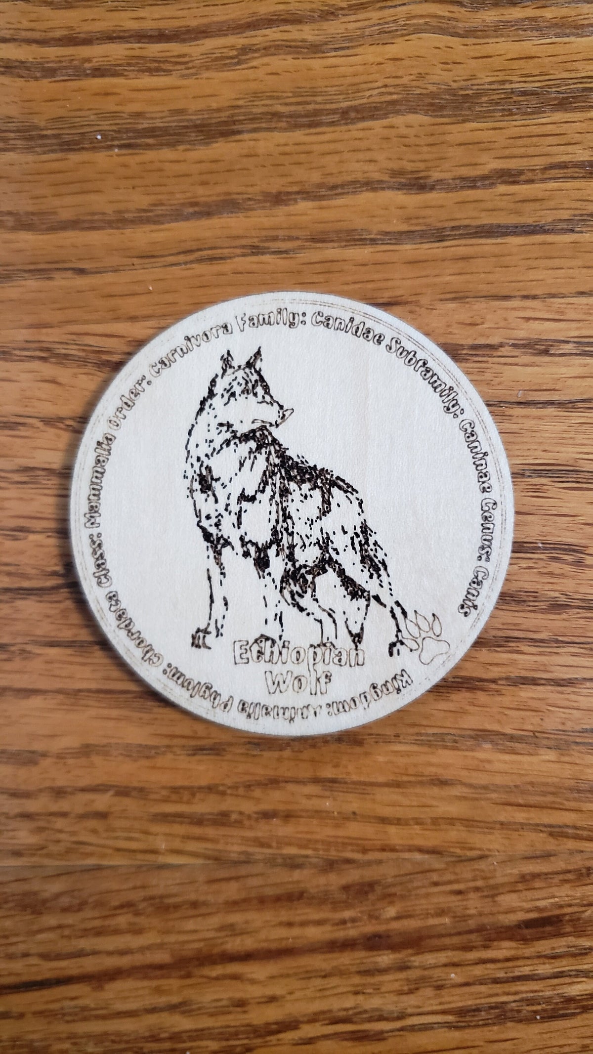 Educational K9 Dog Breed Token Set - Set of 12