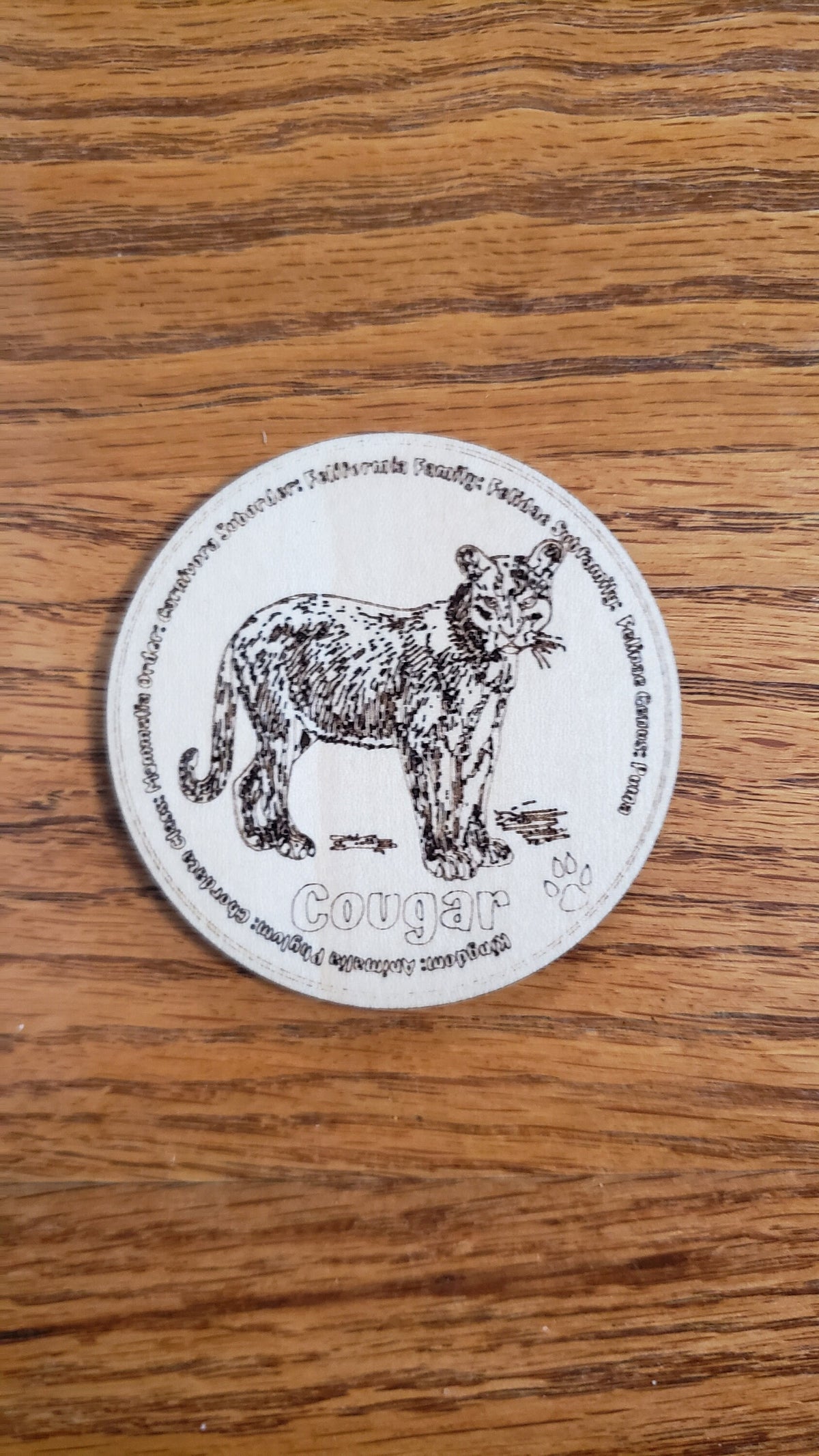 Set of 12 Feline Tokens