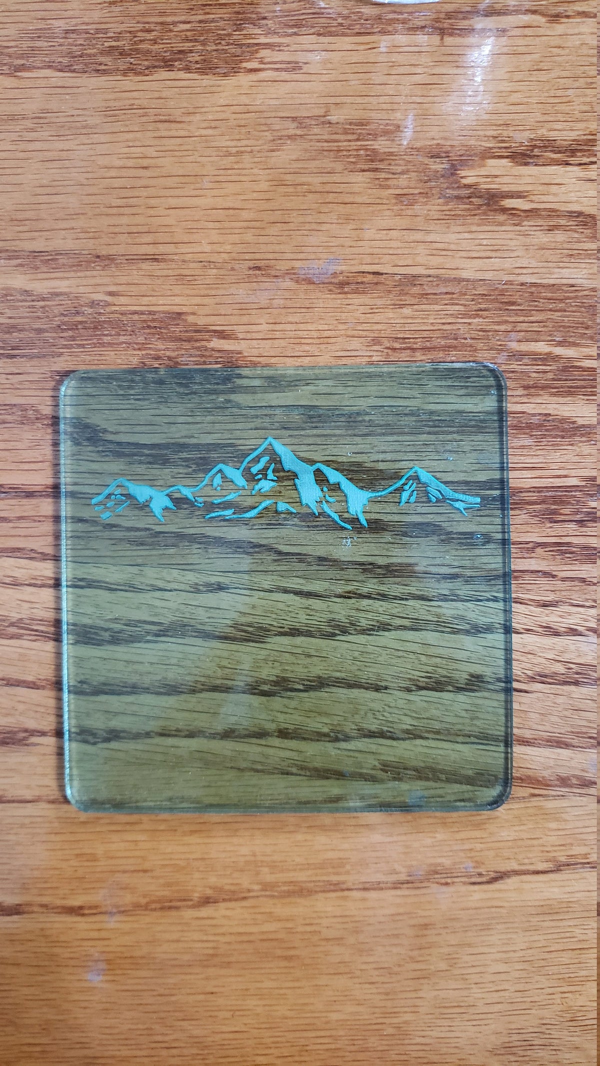Shadowbox Mountain Scene Coaster Set