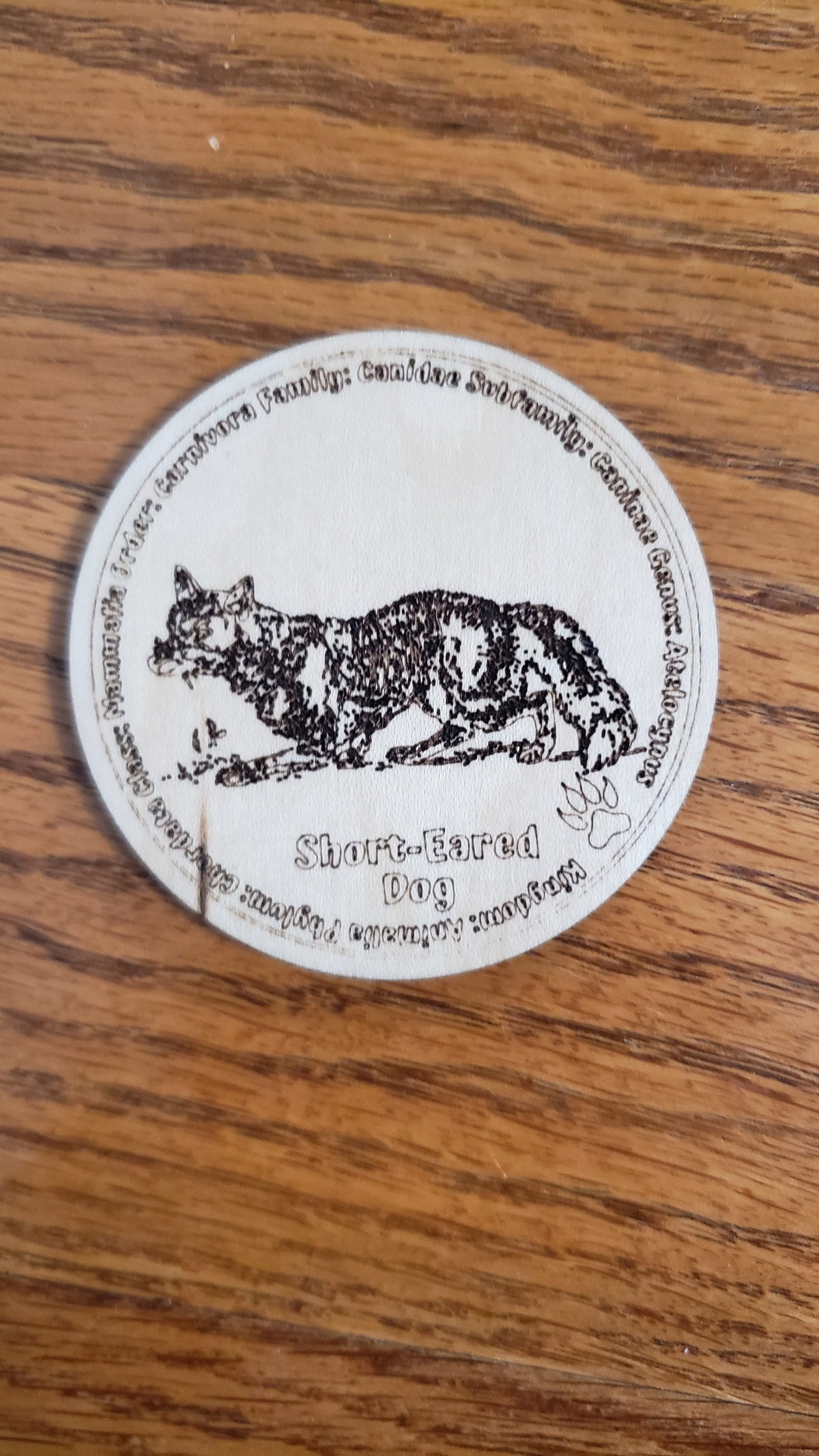 Educational K9 Dog Breed Token Set - Set of 12