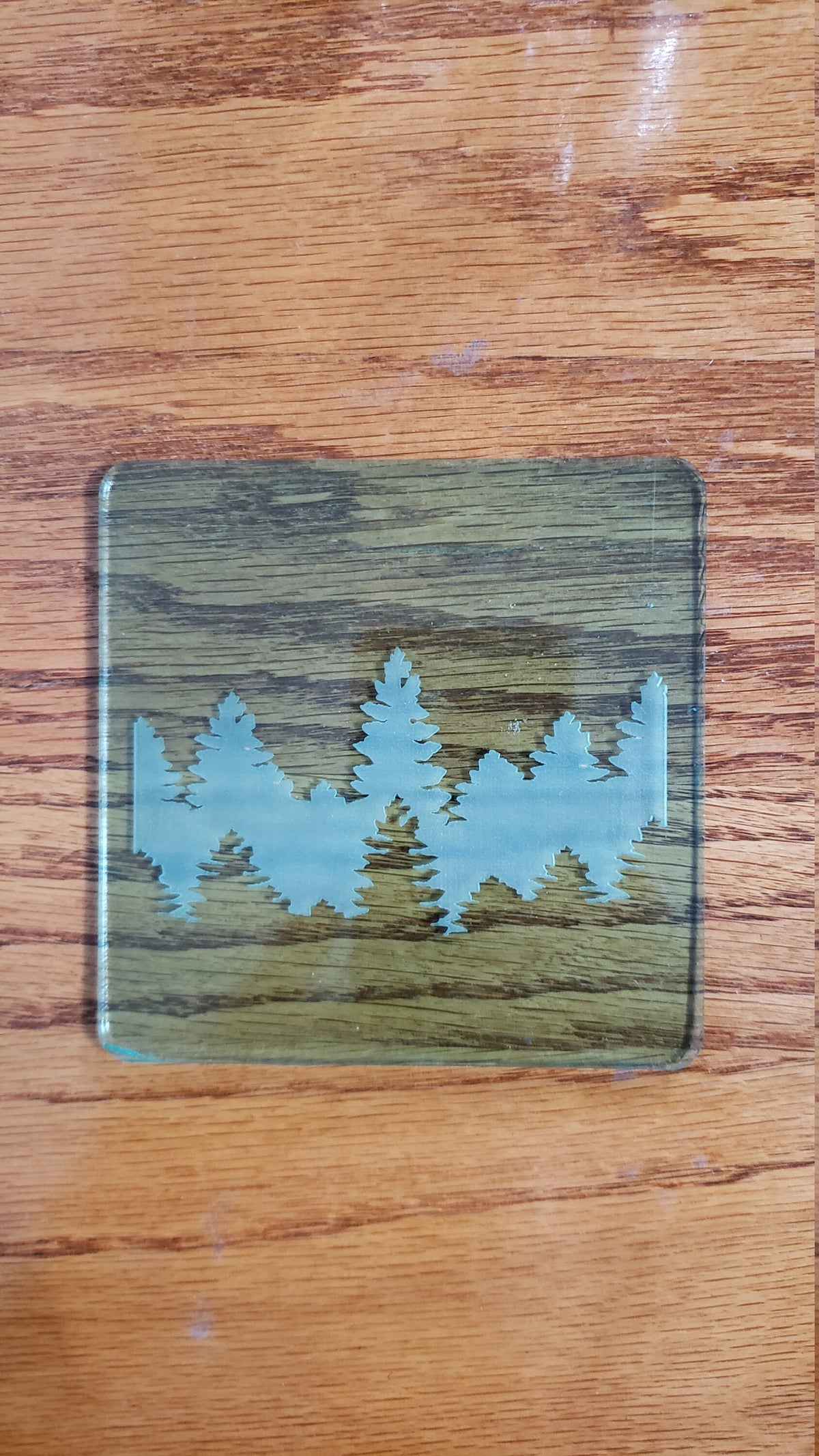 Shadowbox Mountain Scene Coaster Set