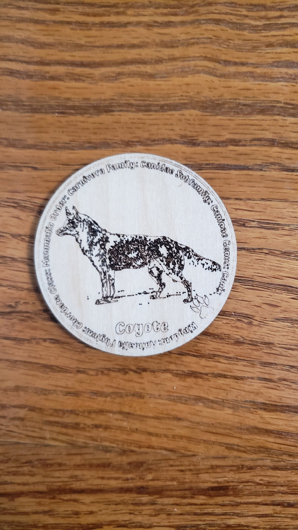 Educational K9 Dog Breed Token Set - Set of 12
