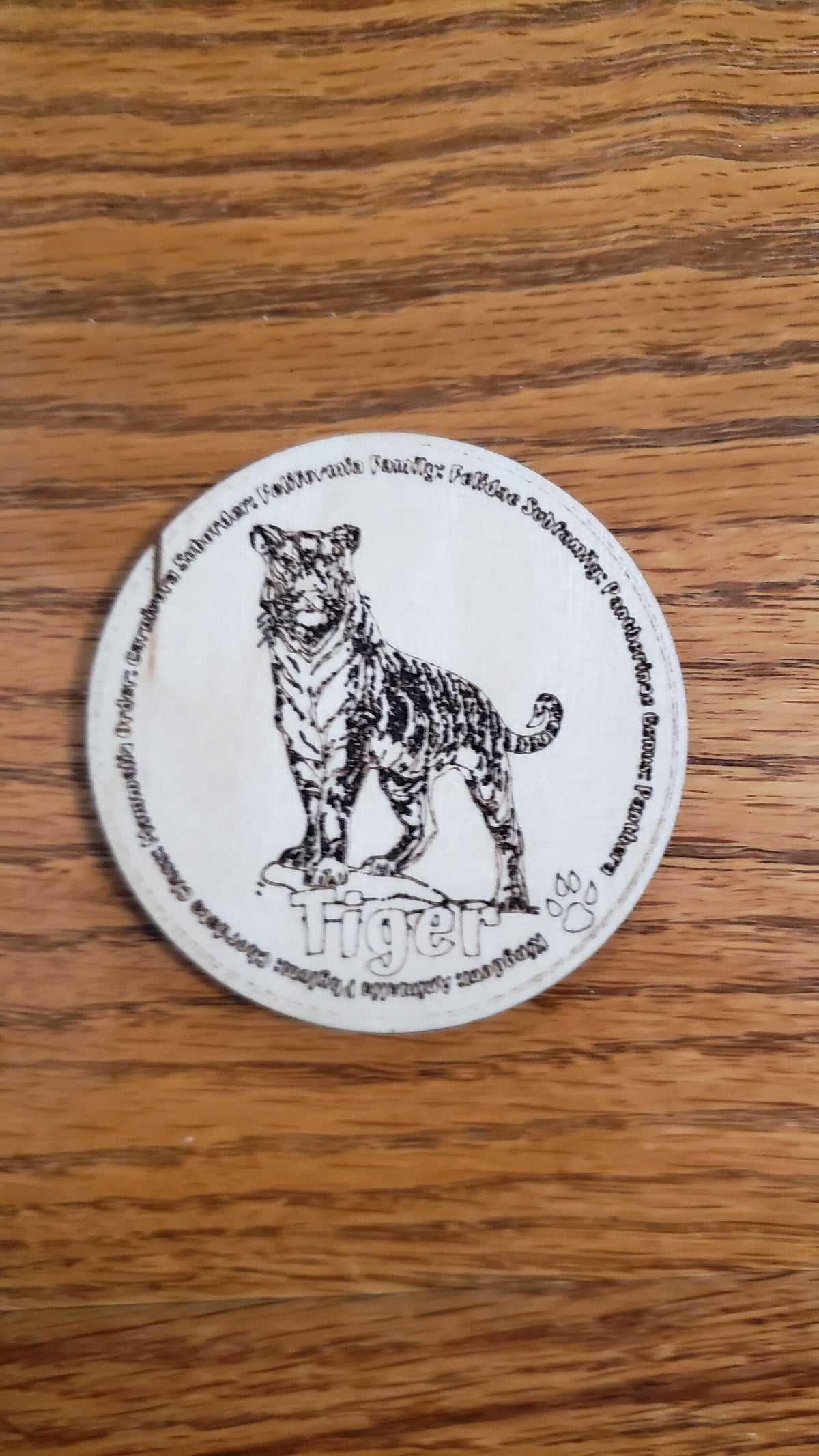 Set of 12 Feline Tokens