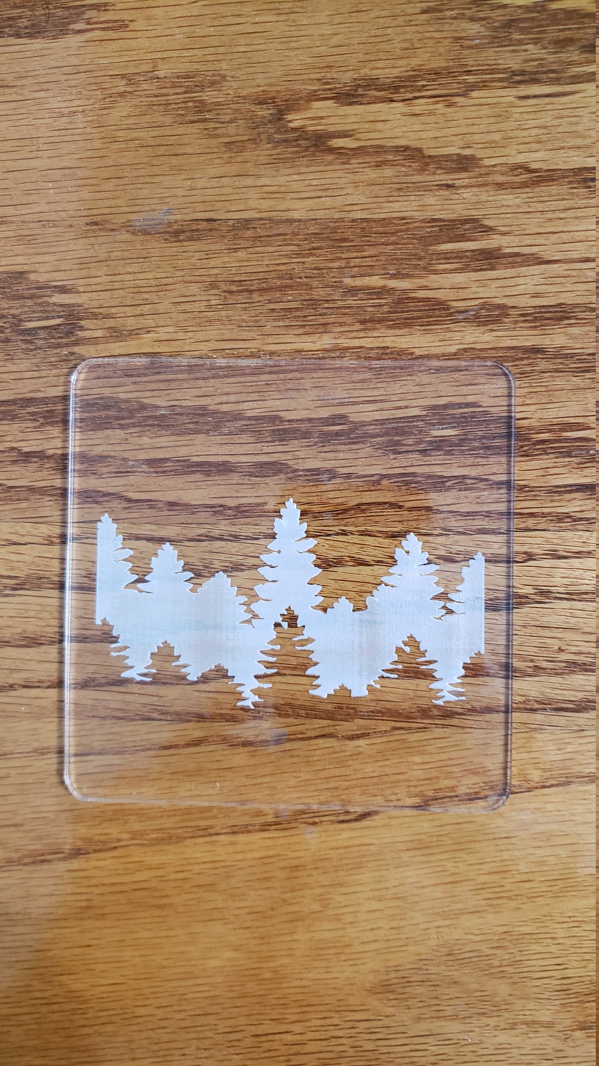 Shadowbox Mountain Scene Coaster Set