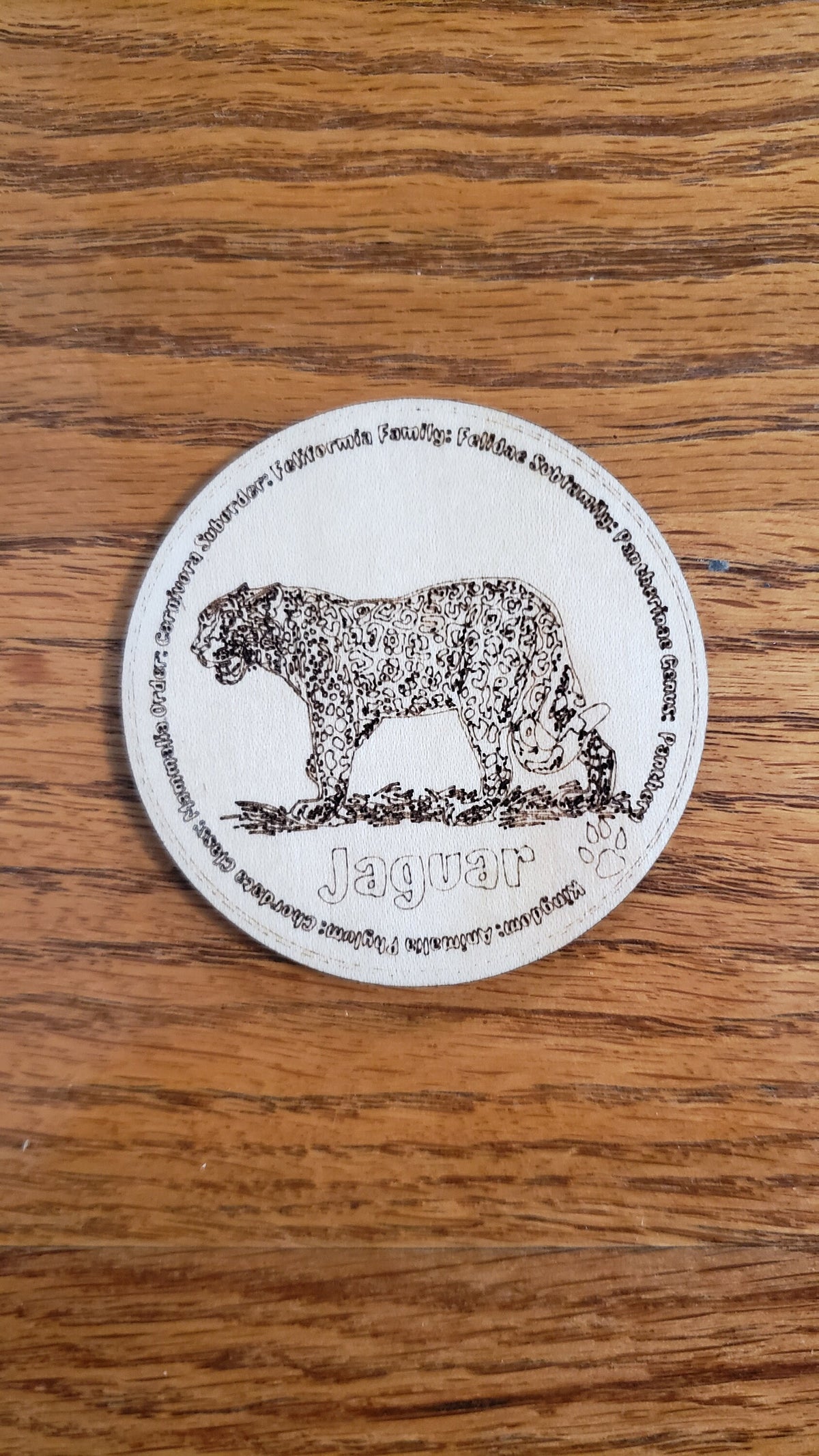 Set of 12 Feline Tokens