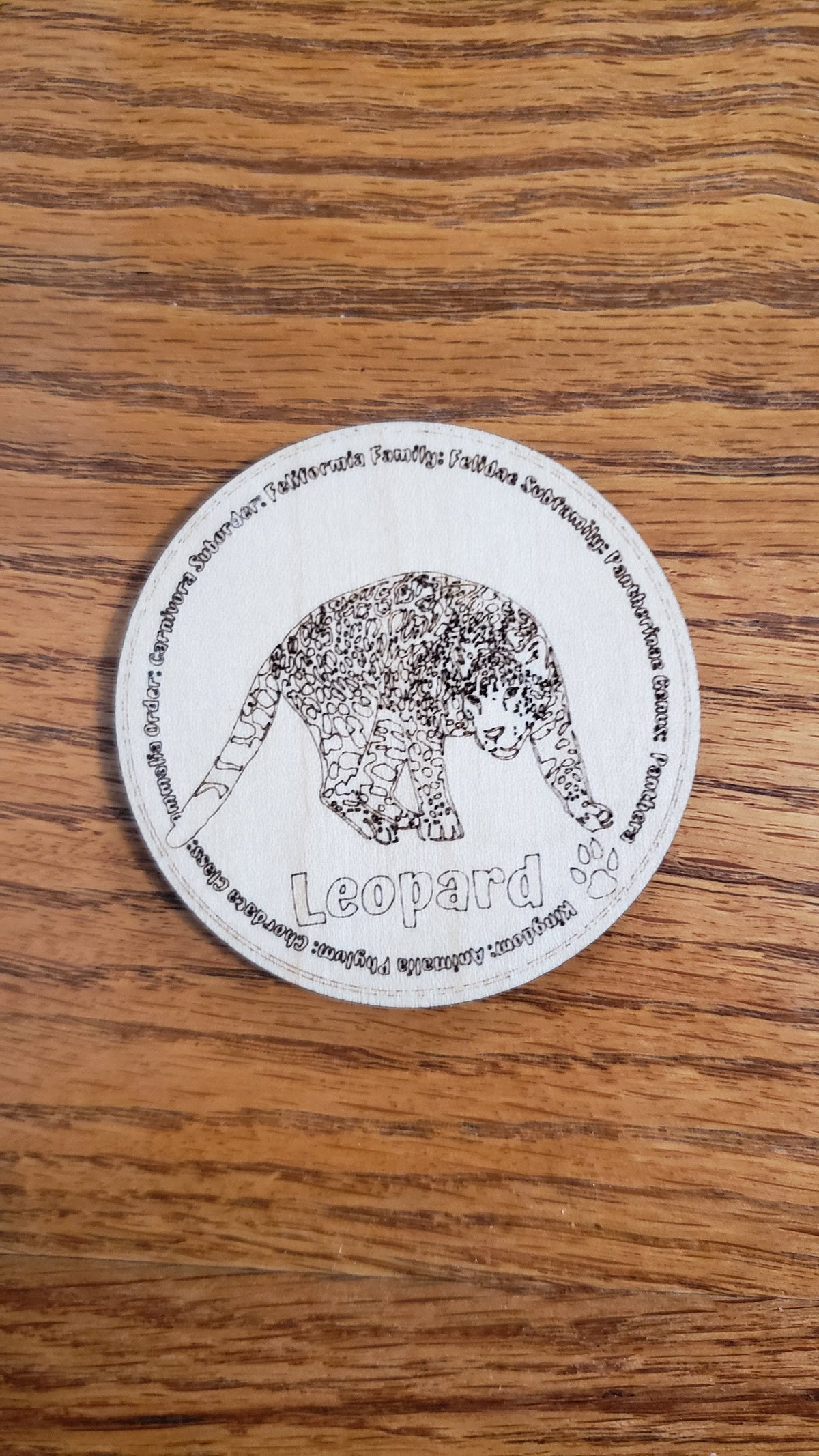 Set of 12 Feline Tokens