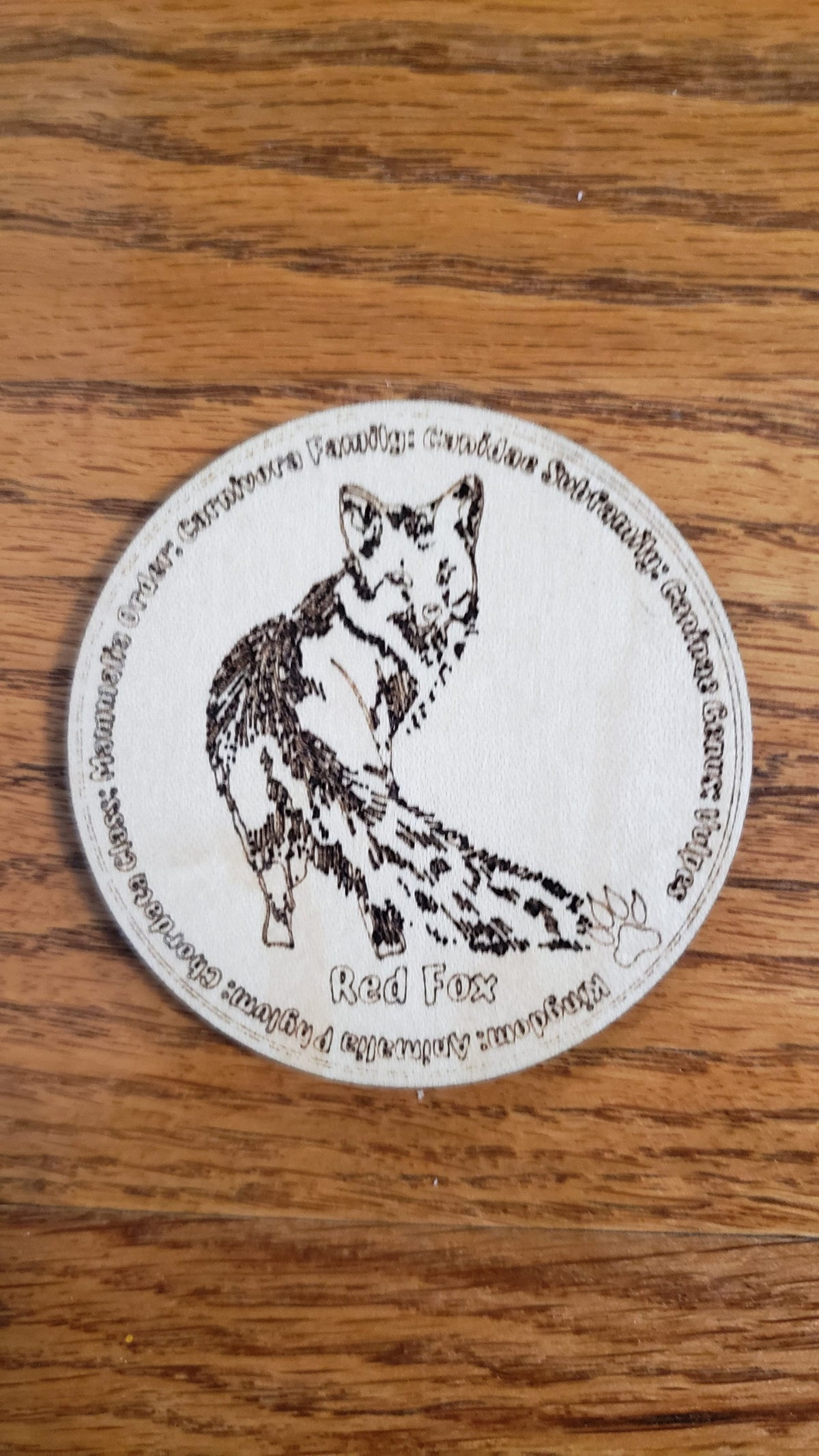 Educational K9 Dog Breed Token Set - Set of 12
