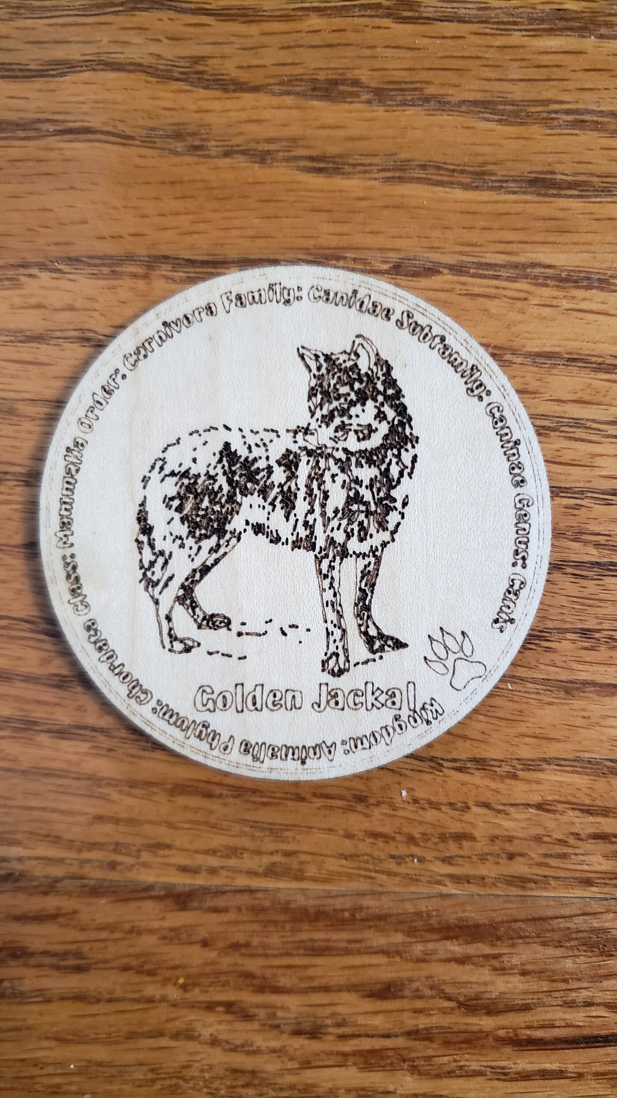 Educational K9 Dog Breed Token Set - Set of 12
