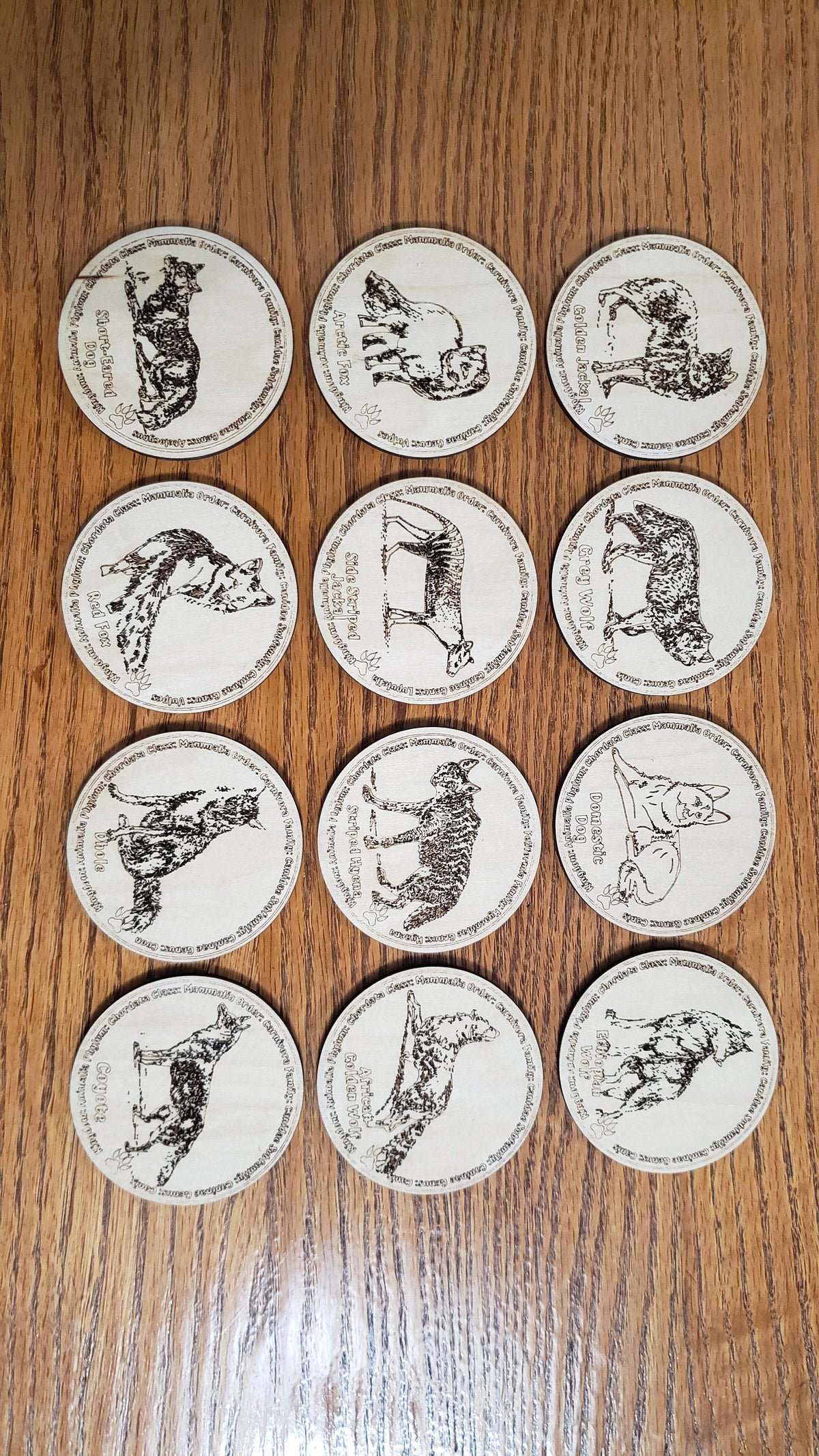 Educational K9 Dog Breed Token Set - Set of 12