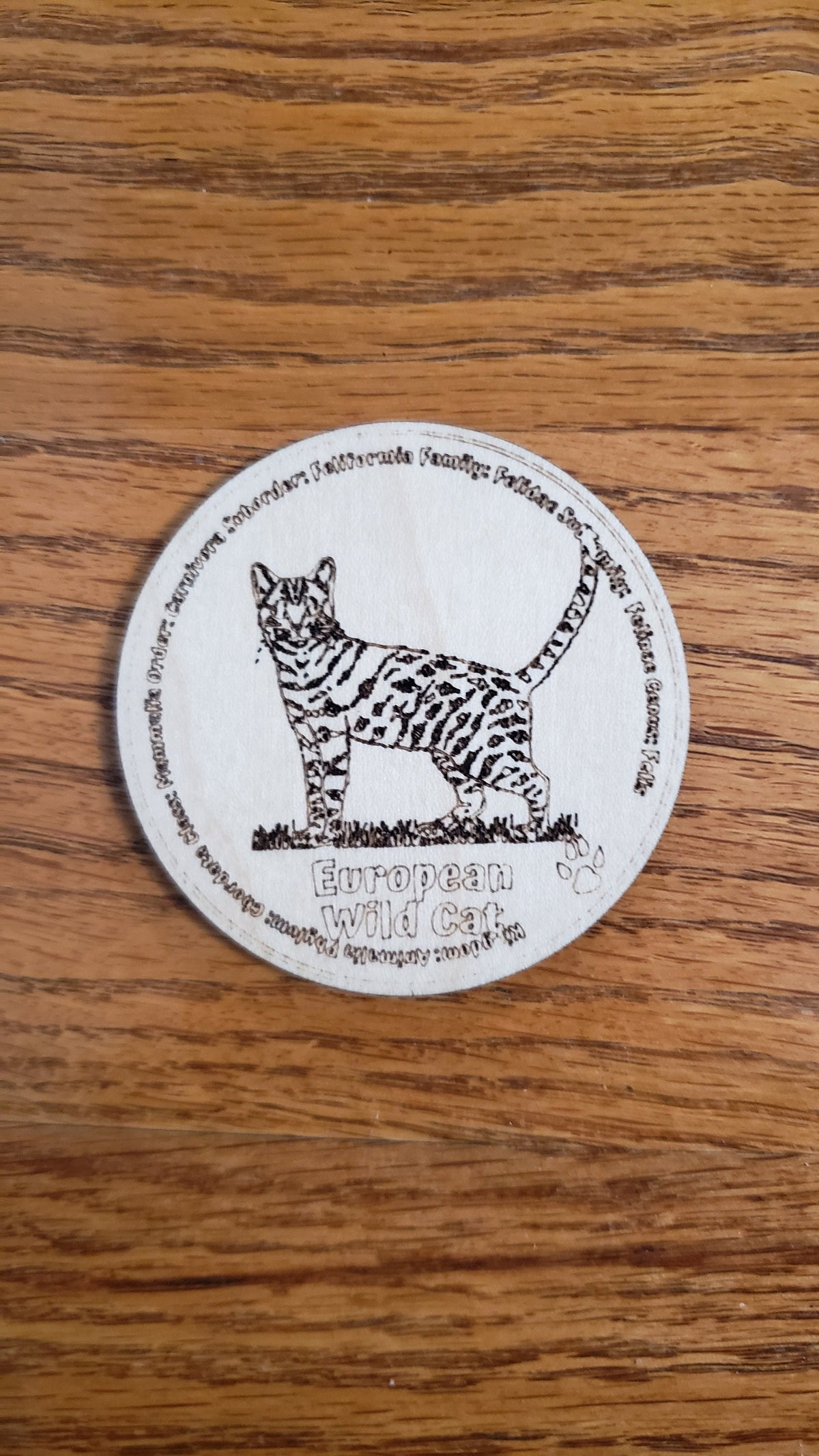 Set of 12 Feline Tokens