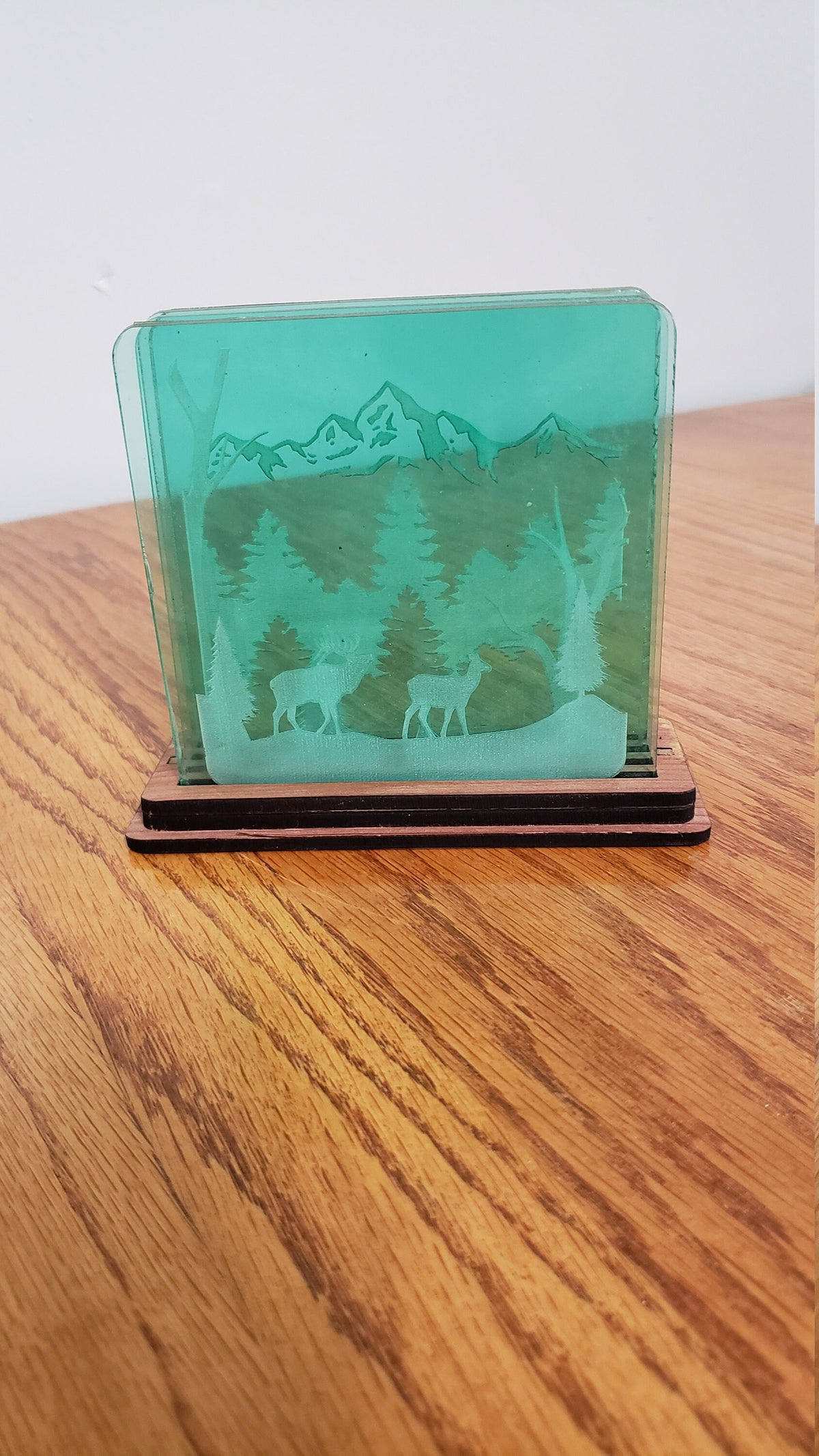 Shadowbox Mountain Scene Coaster Set