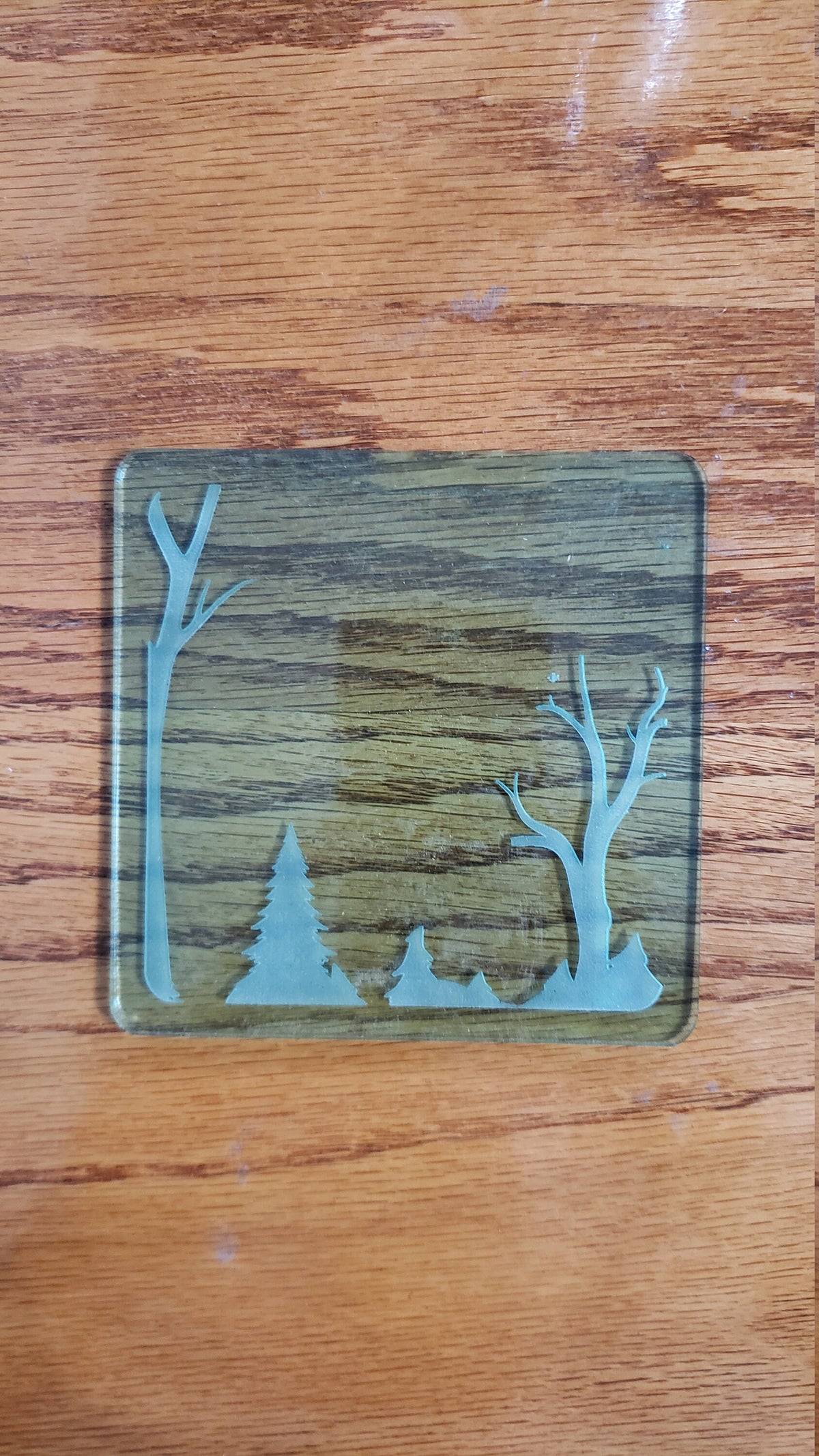 Shadowbox Mountain Scene Coaster Set