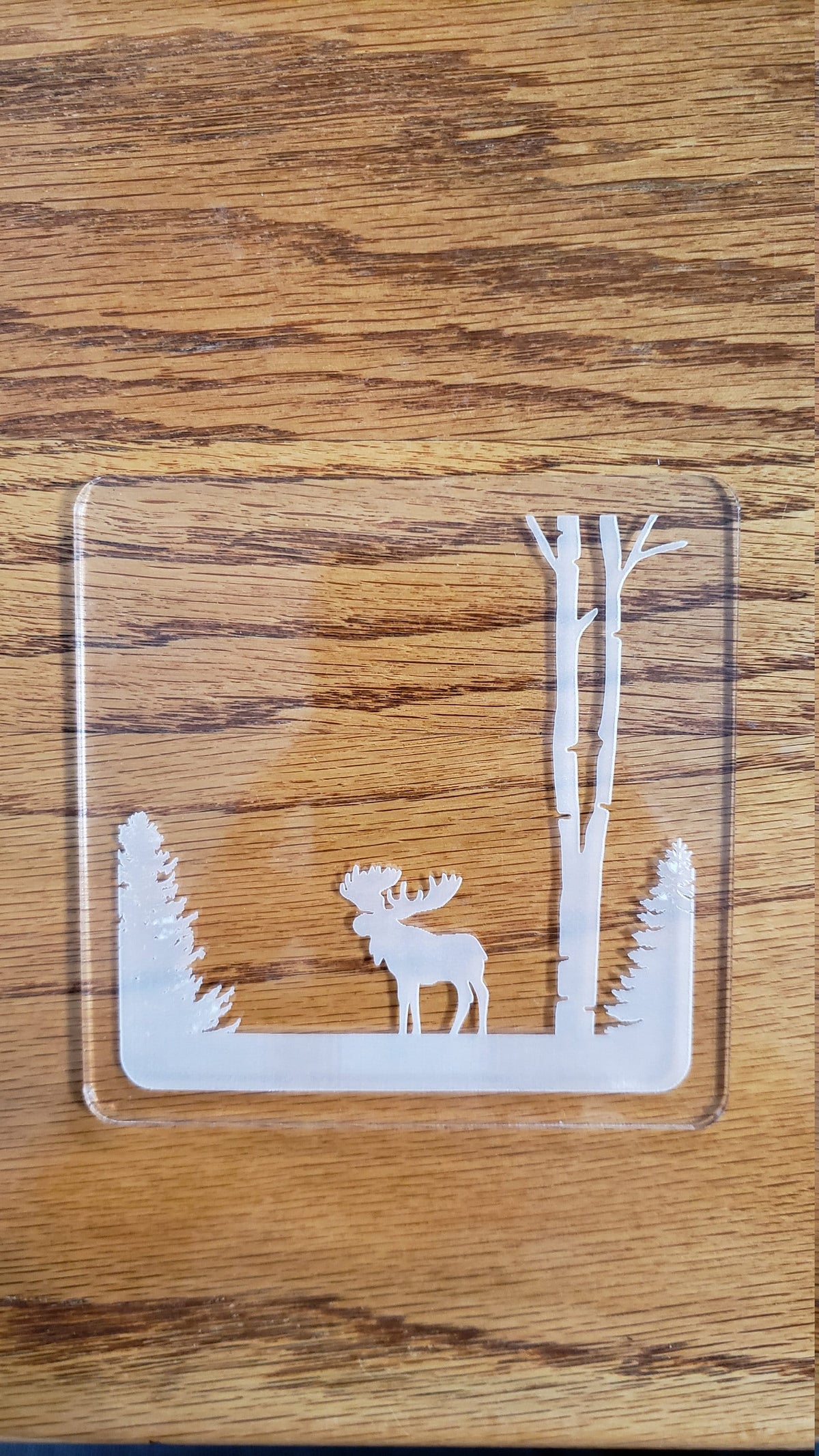 Shadowbox Mountain Scene Coaster Set