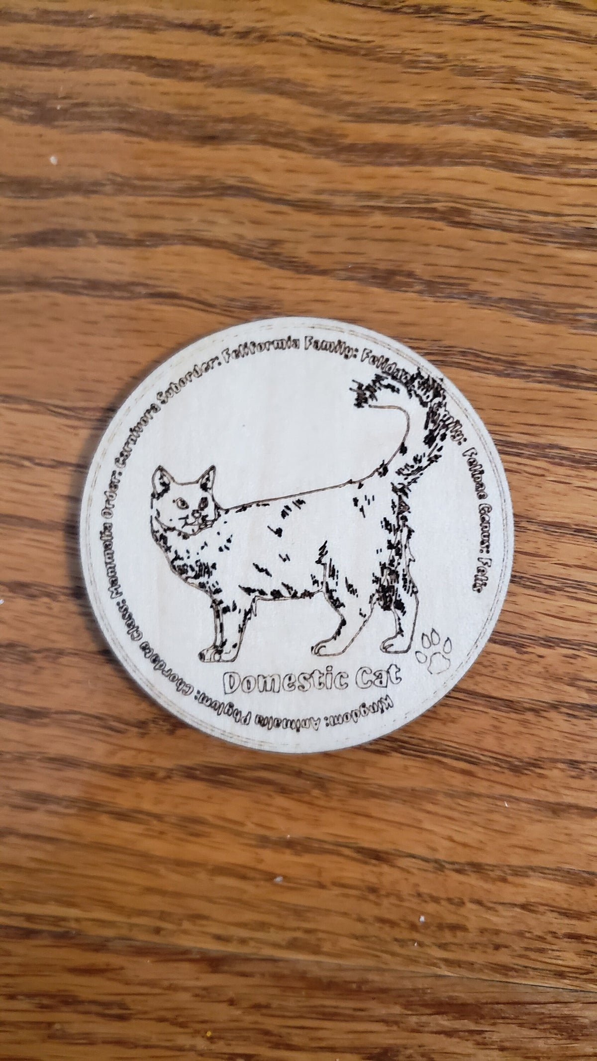 Set of 12 Feline Tokens