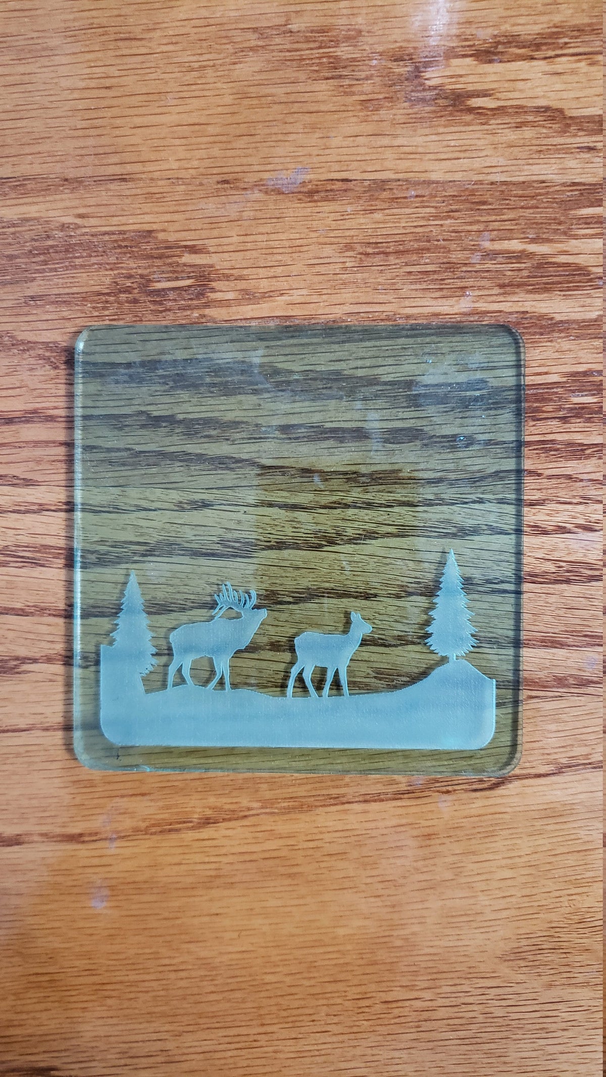 Shadowbox Mountain Scene Coaster Set
