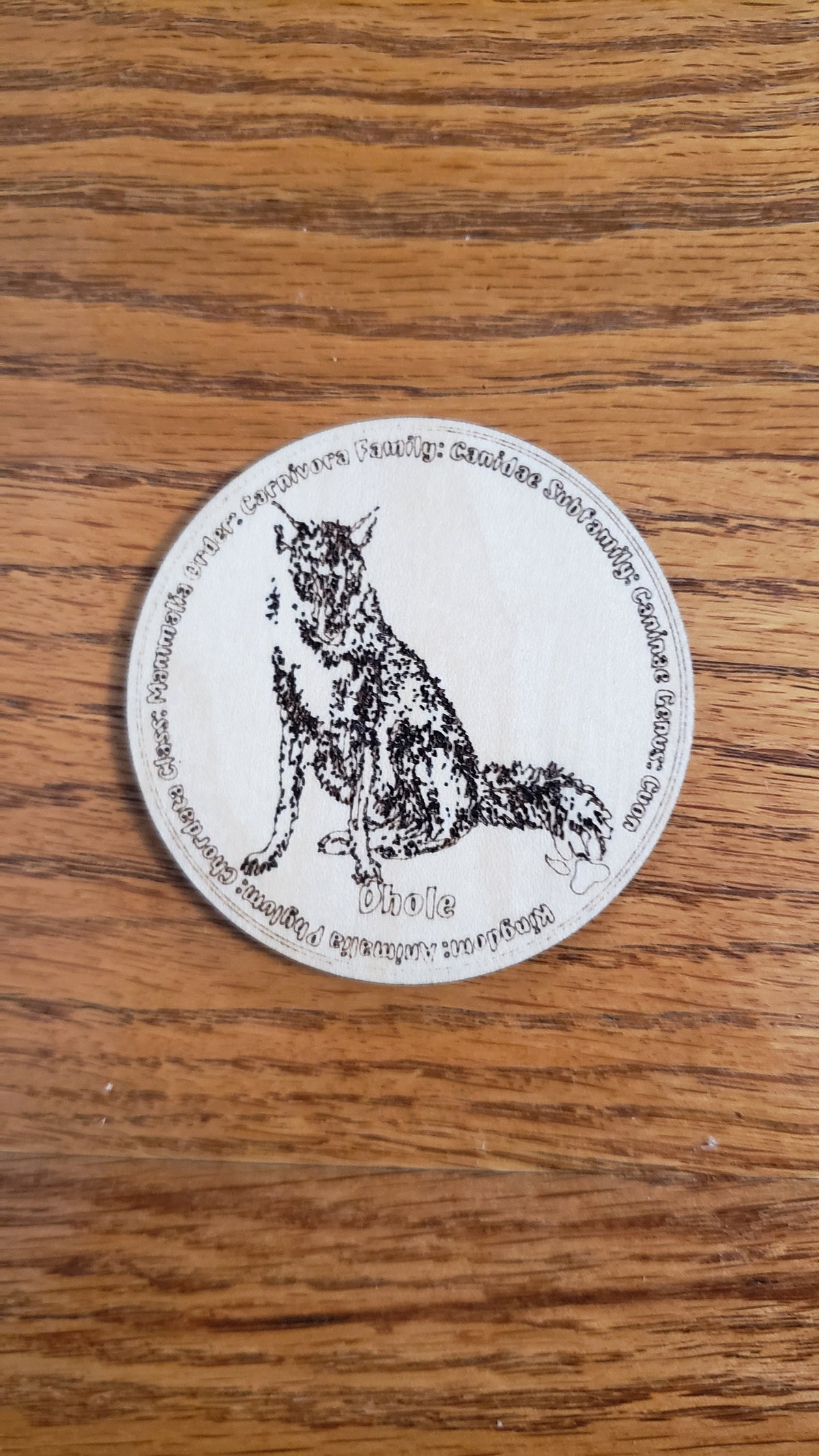 Educational K9 Dog Breed Token Set - Set of 12