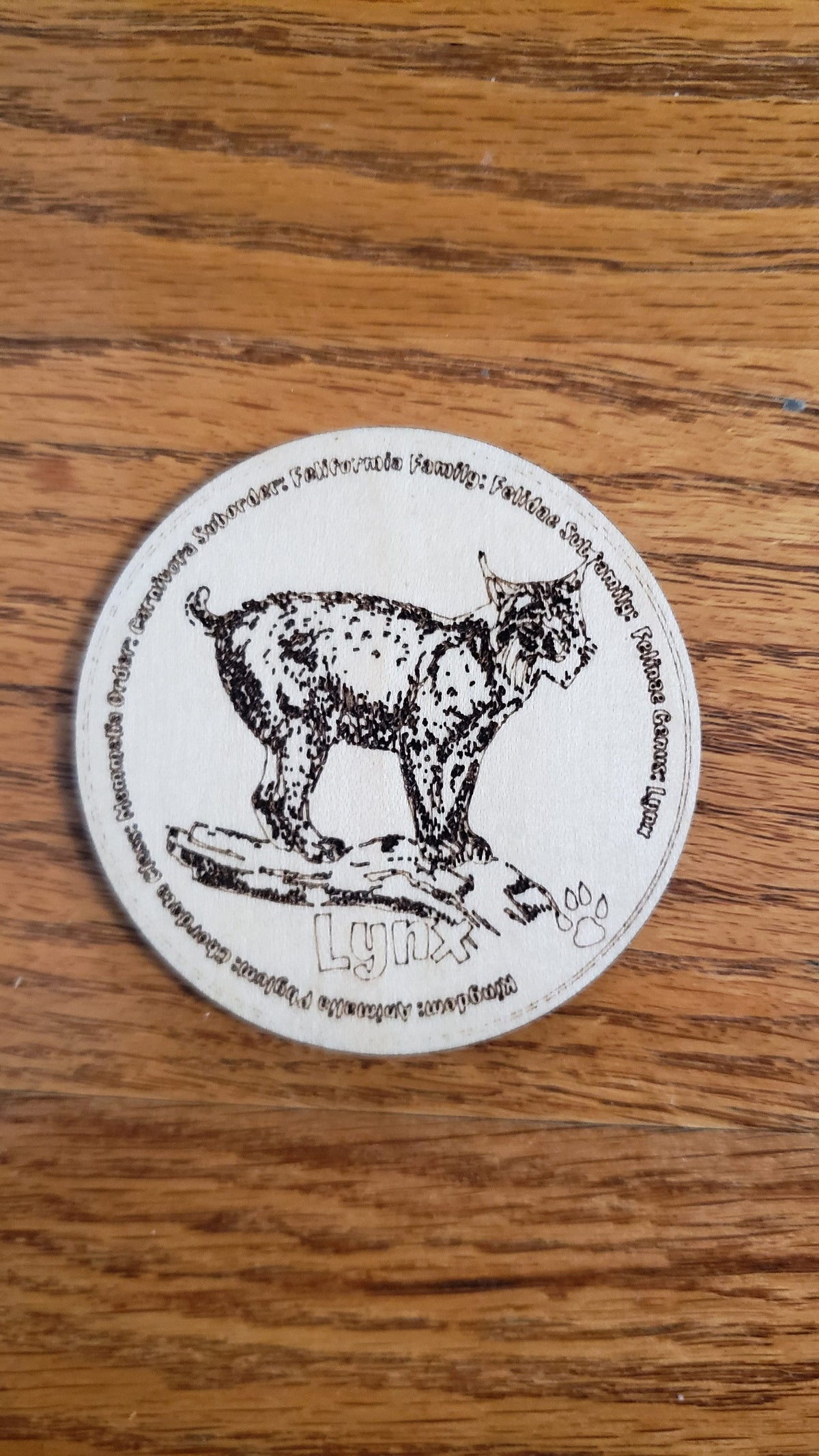Set of 12 Feline Tokens