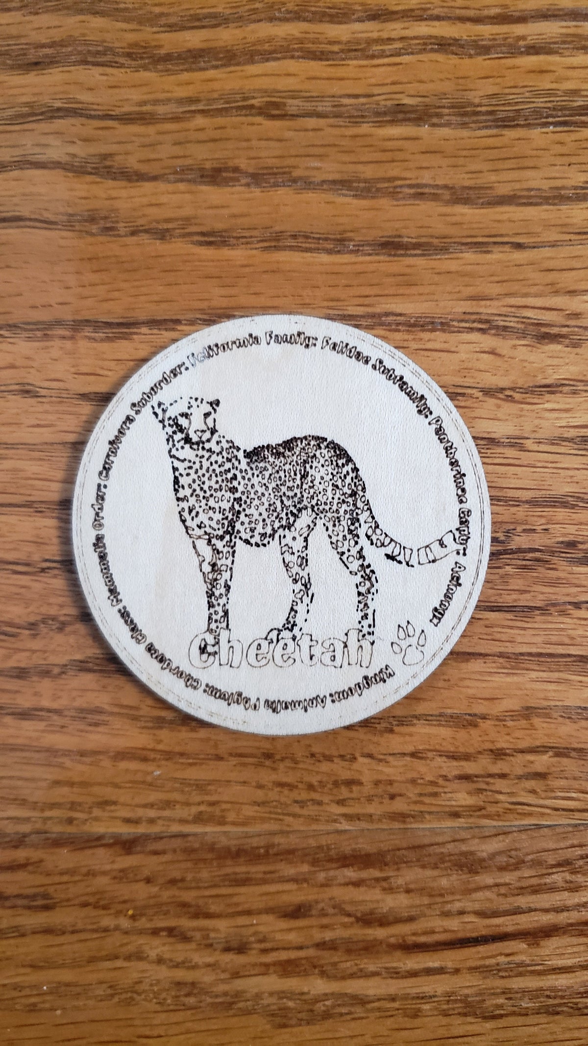 Set of 12 Feline Tokens