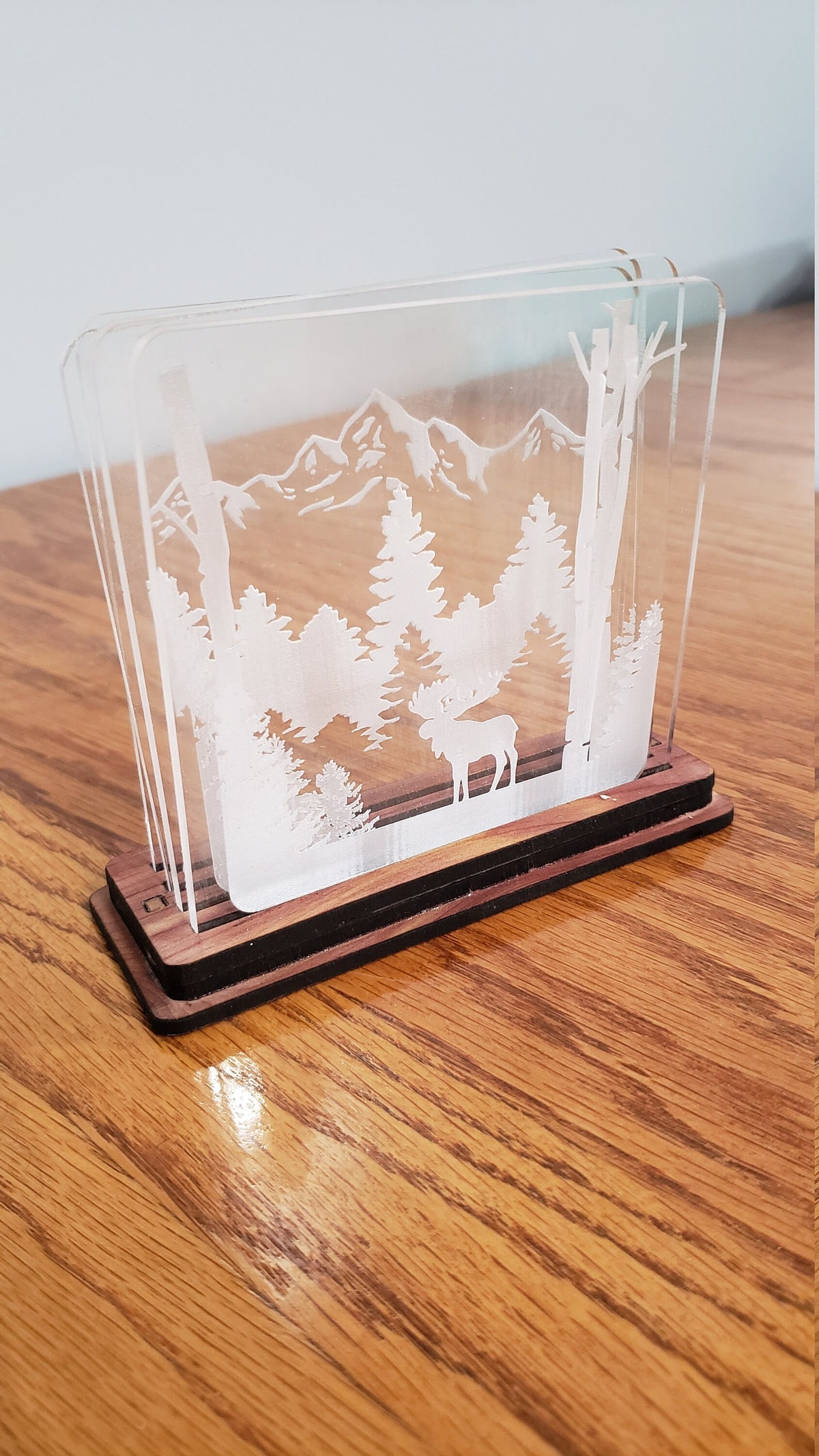 Shadowbox Mountain Scene Coaster Set