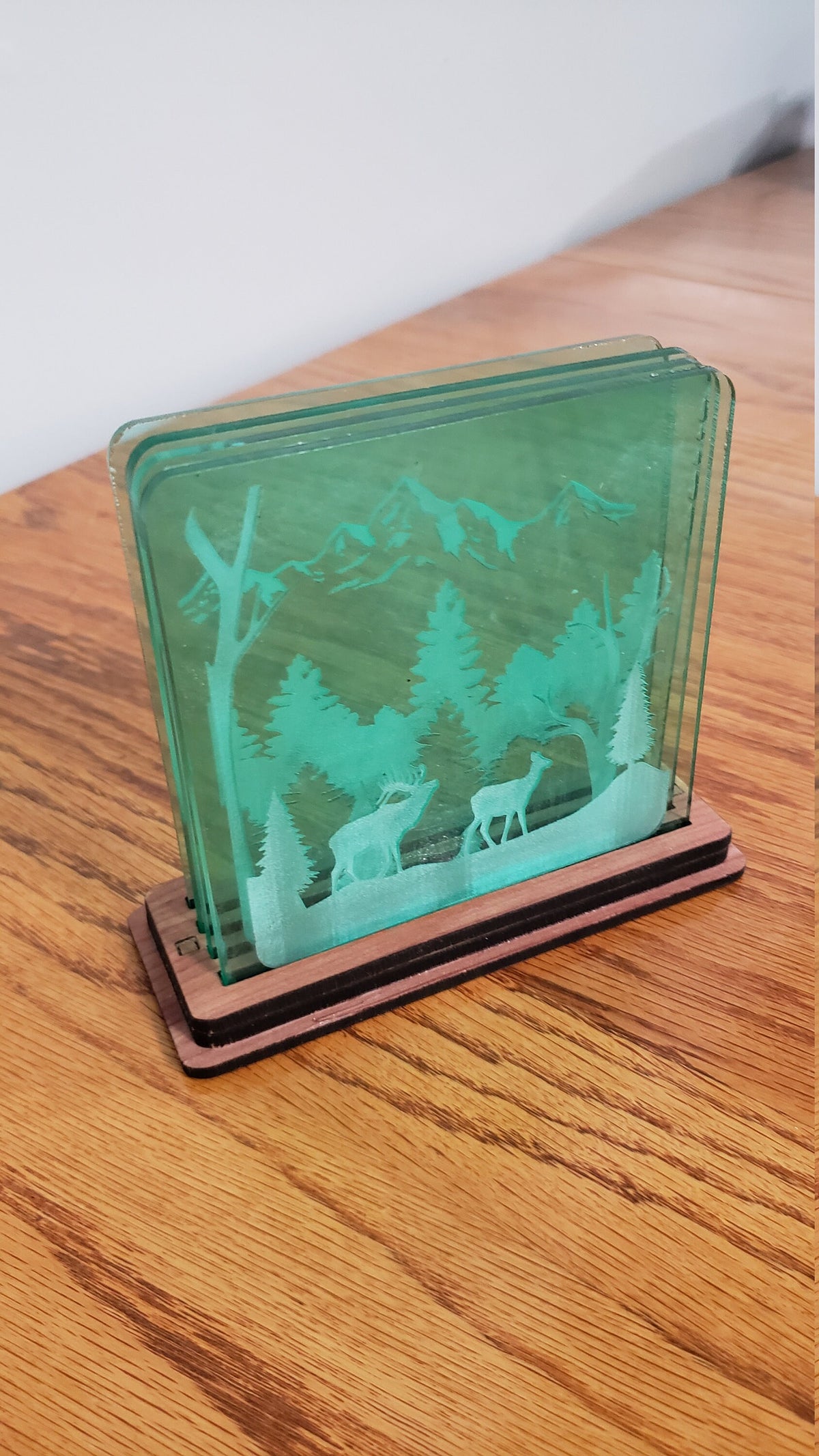 Shadowbox Mountain Scene Coaster Set