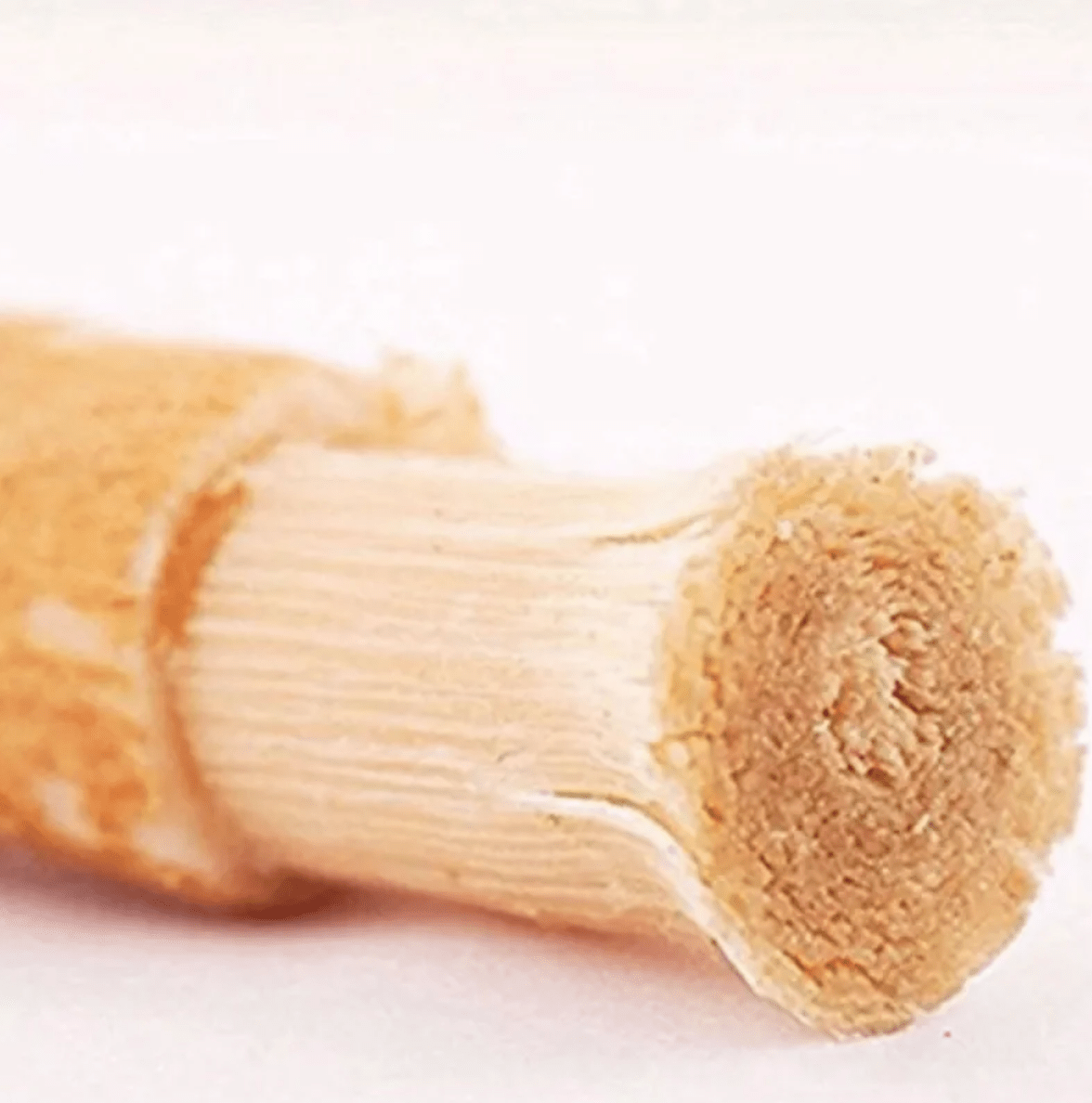 Miswak Tooth Cleaning Stick - Bwrink’s Got Wood