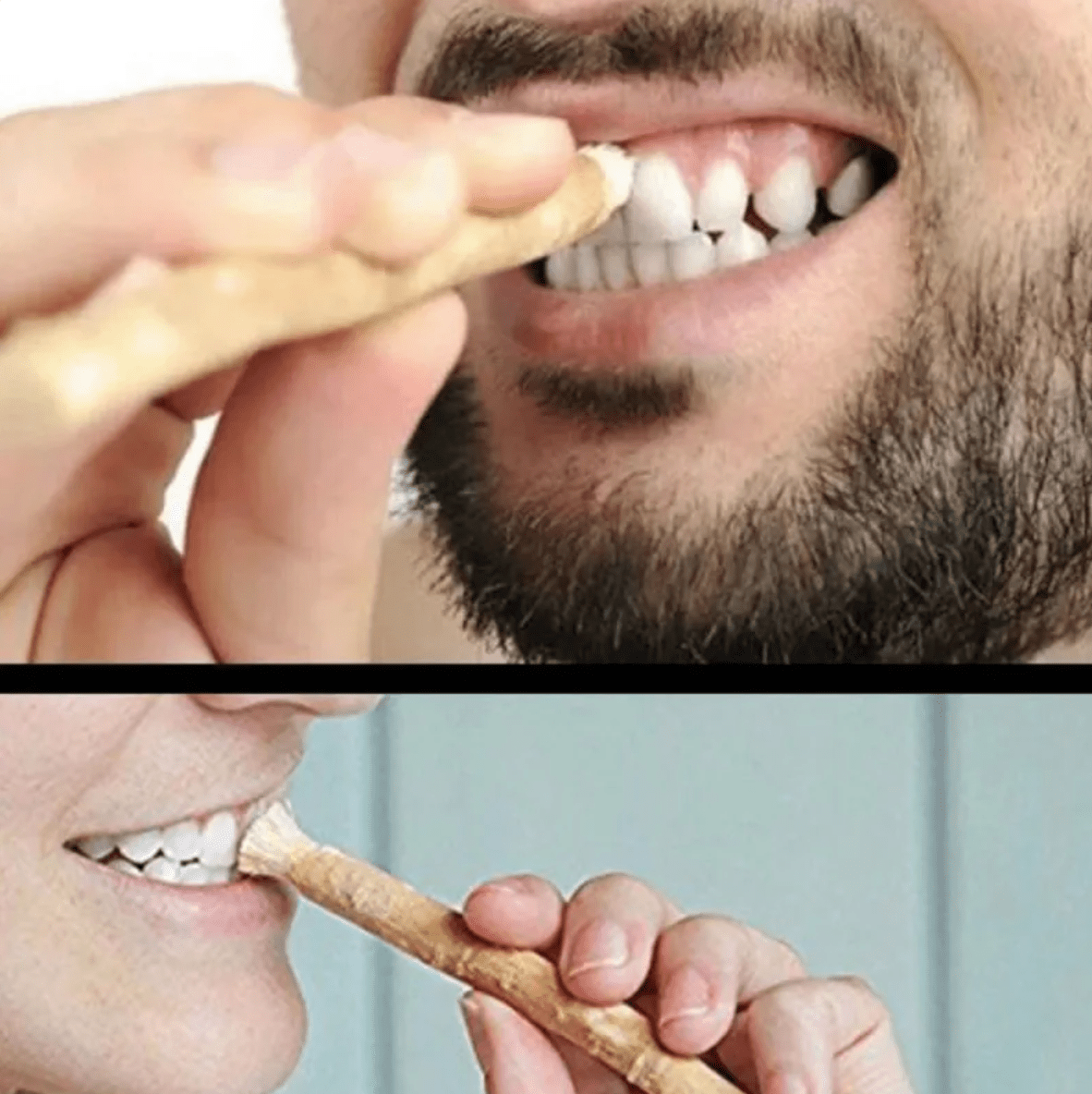 Miswak Tooth Cleaning Stick - Bwrink’s Got Wood